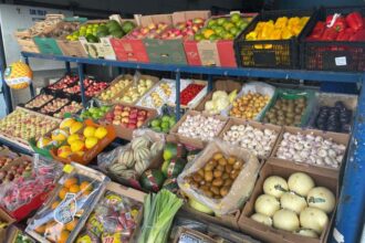 Com frutas e hortaliças direto do campo, Ceasa tem papel crucial na saúde dos sul-mato-grossenses