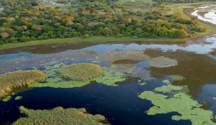 Parque do Pantanal do Rio Negro desponta como modelo nacional na geração de créditos ambientais