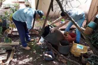 Boletim Epidemiológico: MS registra 6.796 casos confirmados de dengue