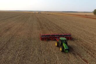 Projeção para 2025 aponta MS no topo do crescimento agropecuário nacional