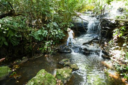 Propriedades rurais de MS ampliam práticas sustentáveis e atingem 71% de conformidade no ESG