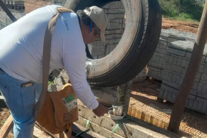 Após seminário, municípios de MS relatam impacto positivo das ovitrampas no controle das arboviroses