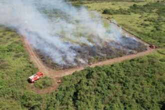 Governo suspende queima controlada até novembro e amplia restrição no Pantanal para dezembro