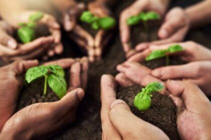 Cooperativismo agro cresce 276% em MS e impulsiona desenvolvimento rural
