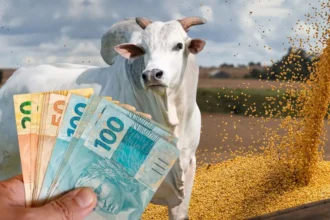 Confinamento bovino cresceu 16% em 2025, para 9,25 milhões de cabeças de gado