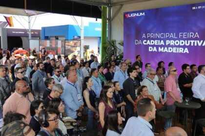 Simplificação e visão de futuro ajudaram MS a consolidar Vale da Celulose