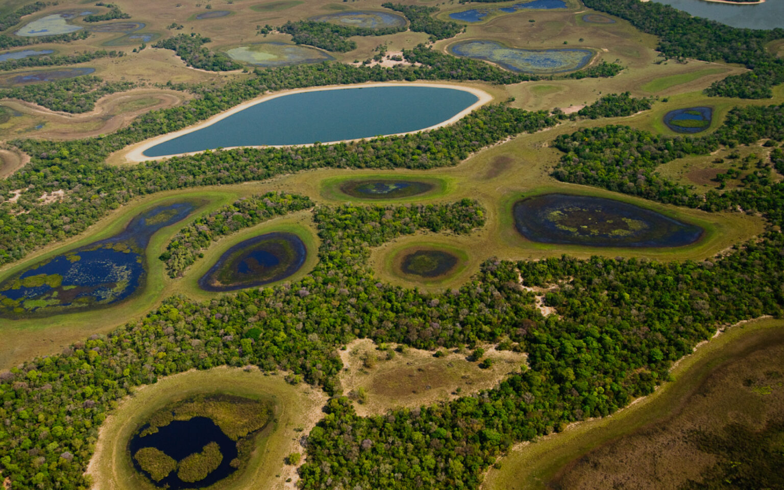 Com práticas sustentáveis na gestão pública, Governo de MS recebe ‘Selo Verde’ do Ministério do Meio Ambiente