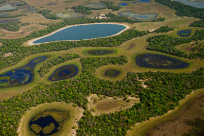Com práticas sustentáveis na gestão pública, Governo de MS recebe ‘Selo Verde’ do Ministério do Meio Ambiente