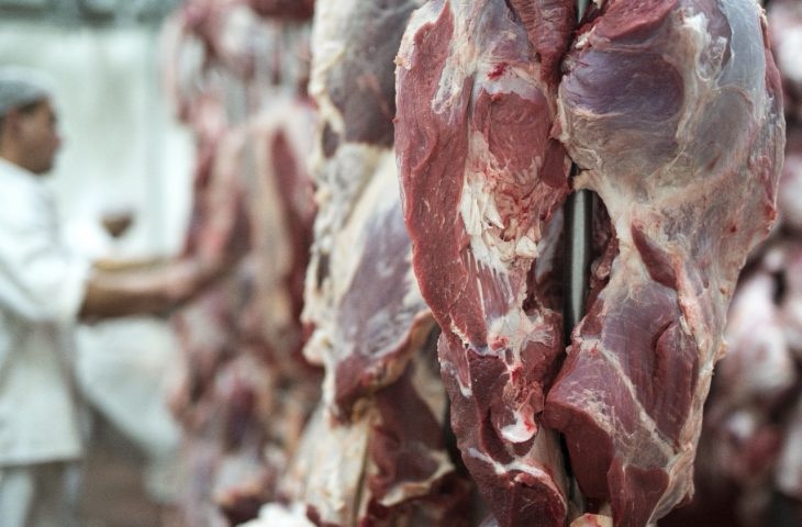 Exportações de MS somam US$ 7,24 bilhões até agosto e carne bovina cresce 43,7% no  acumulado do ano