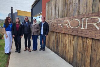 Com consultoria do Senai, vinícola se torna a primeira do MS certificada pelo Ministério da Agricultura