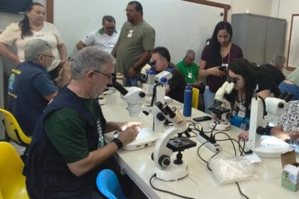 Coleta de vetores, testagem e alinhamento técnico: Saúde de MS antecipa combate à Febre Oropouche