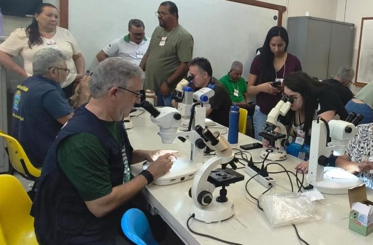 Coleta de vetores, testagem e alinhamento técnico: Saúde de MS antecipa combate à Febre Oropouche