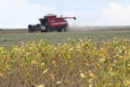 Começa plantio da maior safra de soja de Mato Grosso do Sul, com expectativa de colher 15 milhões de toneladas
