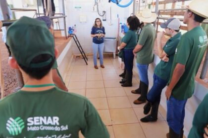 Senar/MS abre inscrições para 500 vagas em cursos técnicos gratuitos