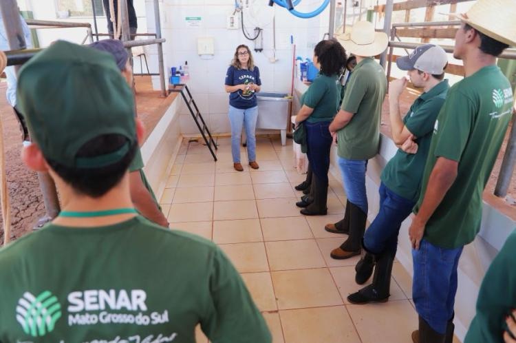 Senar/MS abre inscrições para 500 vagas em cursos técnicos gratuitos