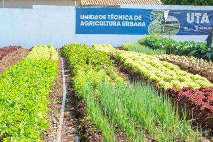 Hortifrutis doados pela Ceasa em MS matam a fome e viram adubo para a comunidade