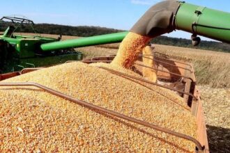 MS brilha no agronegócio nacional com quatro cidades no top 20