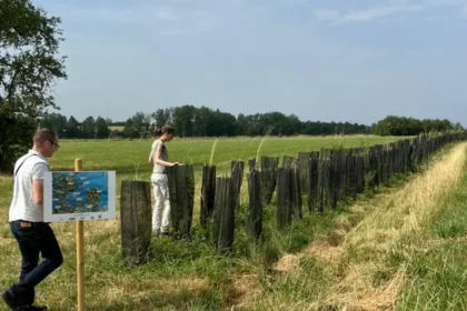 Floresta em pé: lavoura e árvores reduzem impacto de mudança climática