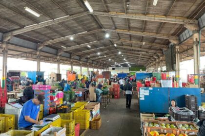 CEASA chega aos 46 anos conectando produtores, comerciantes e impulsionando a economia de MS