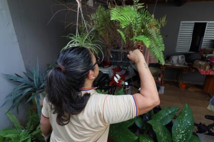 Contra o mosquito, todos do mesmo lado: Mato Grosso do Sul realiza ‘Dia D’ de Combate à Dengue