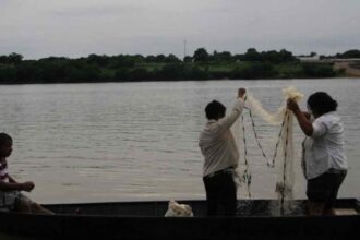 Ministério suspende 35 mil licenças de pescadores profissionais por fraude