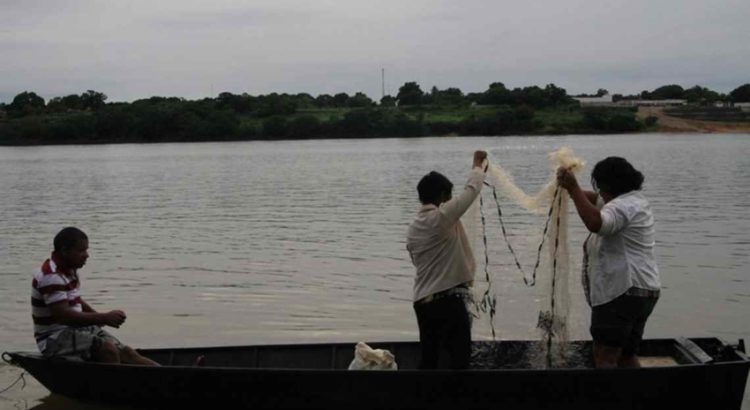 Ministério suspende 35 mil licenças de pescadores profissionais por fraude