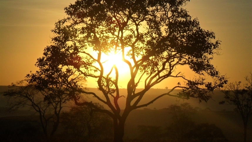 Possíveis impactos da chuva no início da safra 2026