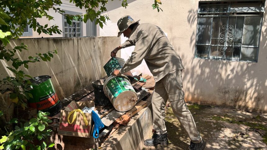 Quase 20 toneladas de lixo são recolhidas na primeira etapa do Meu Bairro Limpo 