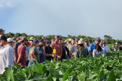Fundação MS confirma Dia de Campo Safra 2025/2026 para 15 de janeiro na Fazenda Alegria, em Maracaju