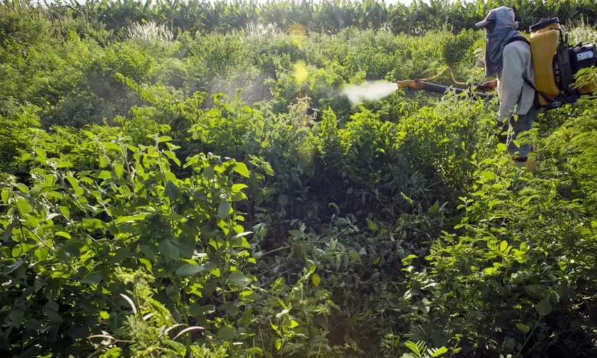 Campanha denuncia agronegócio por contaminações com uso de agrotóxicos