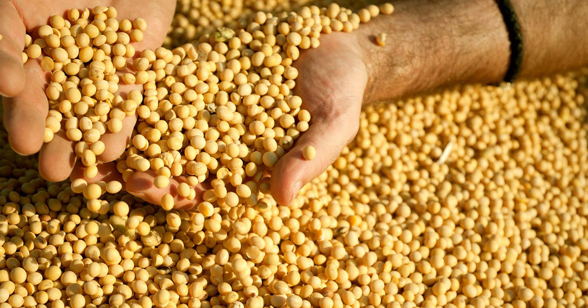 Corrente de comércio bate recorde para meses de novembro e chega a US$ 51,2 bilhões