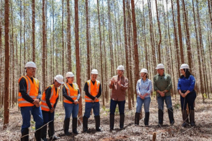 Mestres do Agro estreia hoje no YouTube do Sistema Famasul como o primeiro reality show do agronegócio brasileiro