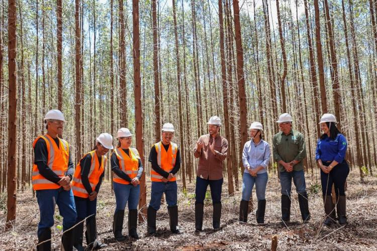 Mestres do Agro estreia hoje no YouTube do Sistema Famasul como o primeiro reality show do agronegócio brasileiro