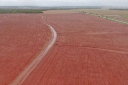 Com forte demanda do campo, FCO teve recorde de financiamentos no Estado em 2025