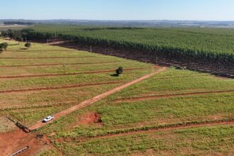 Campo Grande sedia encontro estratégico de logística florestal