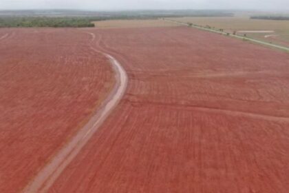 Com forte demanda do campo, FCO teve recorde de financiamentos no Estado em 2025