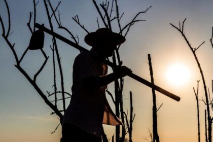 Curso gratuito do Senar/MS leva orientações sobre saúde do idoso a 33 municípios de MS