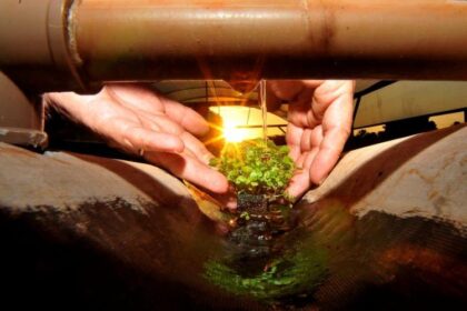 Produtores do MS utilizam técnicas sustentáveis para preservar a água das propriedades