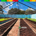 Prefeitura fortalece horta da APAE com doação de adubo e apoio técnico para o preparo do solo