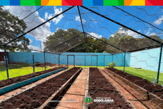 Prefeitura fortalece horta da APAE com doação de adubo e apoio técnico para o preparo do solo