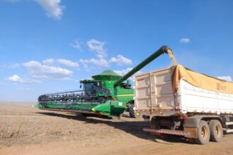 Soja avança em MS, e Estado projeta safra de 15 milhões de toneladas em 2026