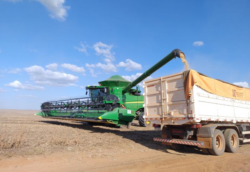 Soja avança em MS, e Estado projeta safra de 15 milhões de toneladas em 2026