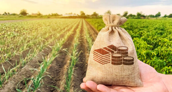 Senar/MS leva debate sobre reforma tributária no agro para Expogrande