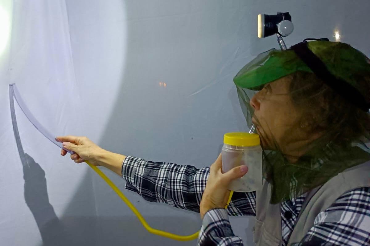 Parceria entre Fiocruz-MS e Prefeitura de Corumbá fortalece vigilância em saúde