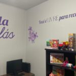 Sala Lilás: Mato Grosso do Sul chega a 62 unidades e fecha março com uma entrega por semana