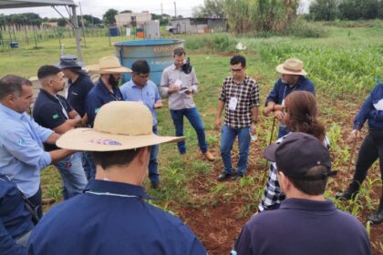 MS Irriga fortalece qualificação técnica e impulsiona uso sustentável da água no campo