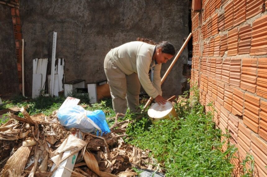 PrefCG amplia fiscalização sobre terrenos baldios; veja como denunciar