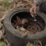 SES realiza força-tarefa com Defesa Civil para conter avanço da chikungunya em Dourados