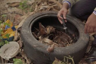 SES realiza força-tarefa com Defesa Civil para conter avanço da chikungunya em Dourados