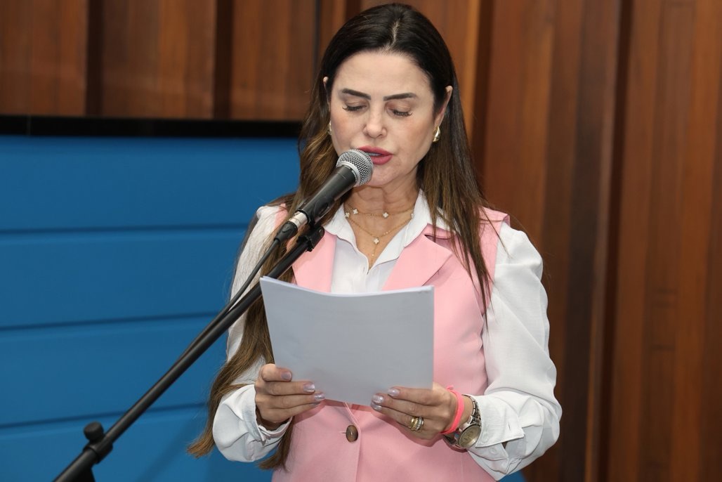 Projeto propõe incluir Festa do Peixe de Palmeiras no calendário oficial de Eventos do Estado